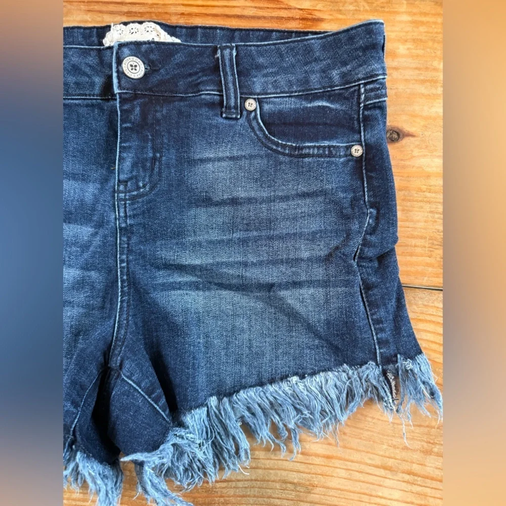 Altar'd State Shorts Womens 26/3 Blue Denim Jean Shorts Cut Off Fringe Stretch